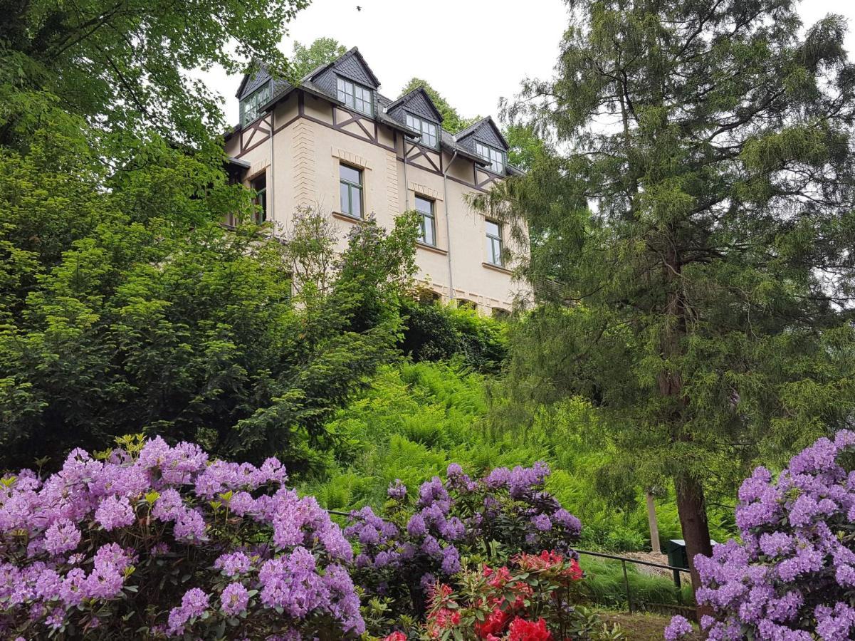 Art-House Kurort Rathen Apartamento Exterior foto